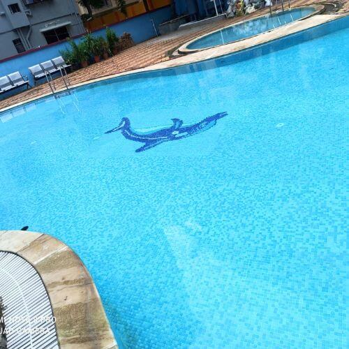 aquamen-india-swimming-pool-gallery-8